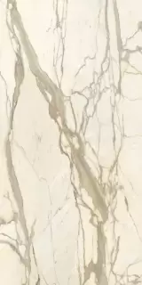 Marmi Calacatta Elite luc