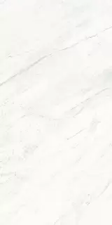 Marmi Premium White sat