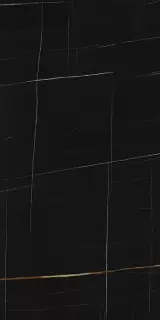 Marmi Sahara Noir luc