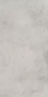 МИЛЛЕНИУМ СИЛЬВЕР