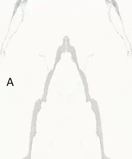 ULTRA MARMI STATUARIO ULTRA BLOCK A LUCIDATO SHINY