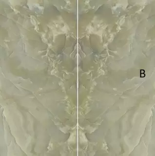 ULTRA ONICE PERSIA LUCIDATO SHINY B