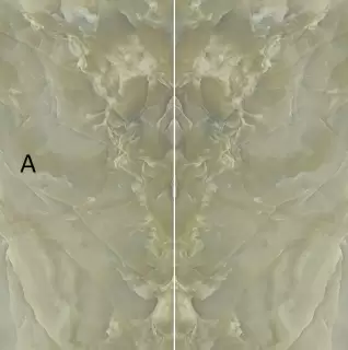 ULTRA ONICE PERSIA LUCIDATO SHINY А