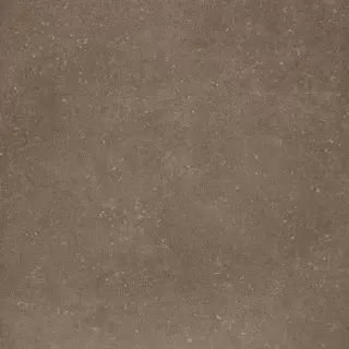 BUXY NOISETTE PLUS 3000X1000X3,5