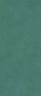 ARKETIPO SILVA SOLIDA