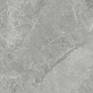 ADVANCE SKIN SILVER PLUS 3000X1000X3,5