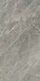 ETOILE GRIS MAT 6MM 120X240 RET