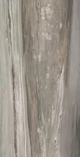 ÉTOILE TROPICAL GLOSSY