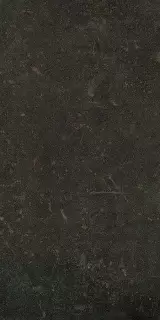 ESPRIT DE REX NEUTRAL BRUN