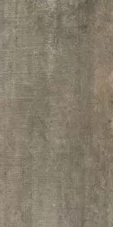 MATIERES REX GRIS MAT