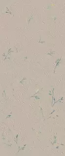 True color WIND FLOWER