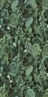 WANDERWALL PRINTEMPS A