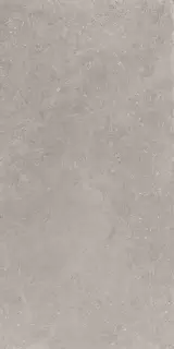 SILVER PRIME PLUS PZ7PM20