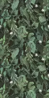 WANDERWALL PRINTEMPS B