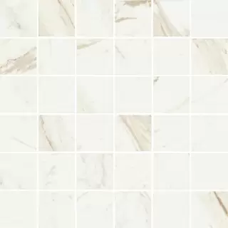 ТРЕВИ УАЙТ МОЗАИКА