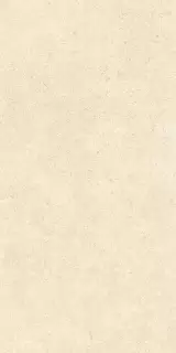SandStone Песочный Матовый R10A