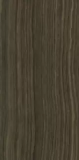 Серфейс Эрамоза 60X120 Lux