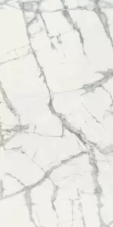 Шарм Делюкс Инвизибл Уайт 60X120 Cer
