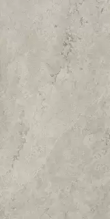 Метрополис Абсолют Сильвер 60X120