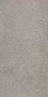 Дискавер Грэй 60X120 Рет
