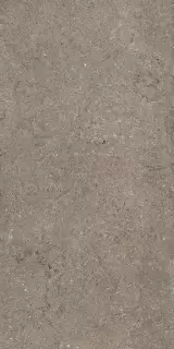 Дискавер Дезерт 60X120 Рет