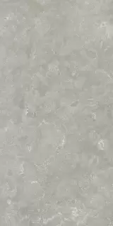 Вояджер Грэй 60X120 Рет
