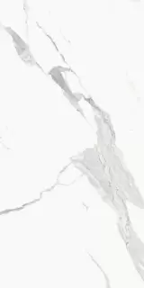 Стелларис Статуарио Уайт 60X120 Рет