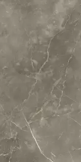 Стелларис Тусканиа Грэй 60X120 Шлиф