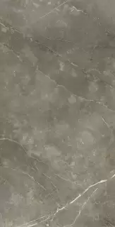 Стелларис Тусканиа Грэй 80X160 Люкс