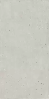 Авангард Пьюр 60X120 Рет Х2