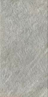 Магма Сильвер 60X120 Рет Х2