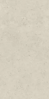 Форум Стоун Пьюр 60X120