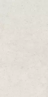 Форум Стоун Полар 60X120