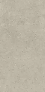 Форум Стоун Дезерт 60X120