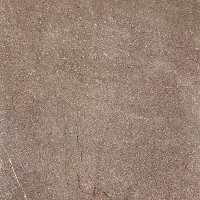 КОНТЕМПОРА БЁРН