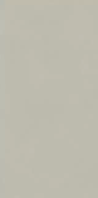 Форум Слим Сильвер