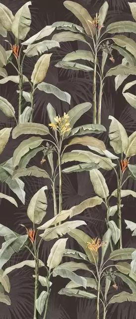 IMAGINE BOTANICAL 120X280 RETT