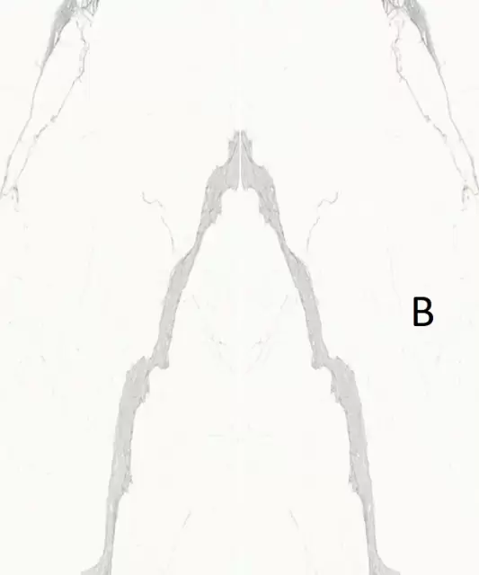 ULTRA MARMI STATUARIO ULTRA BLOCK B LUCIDATO SHINY