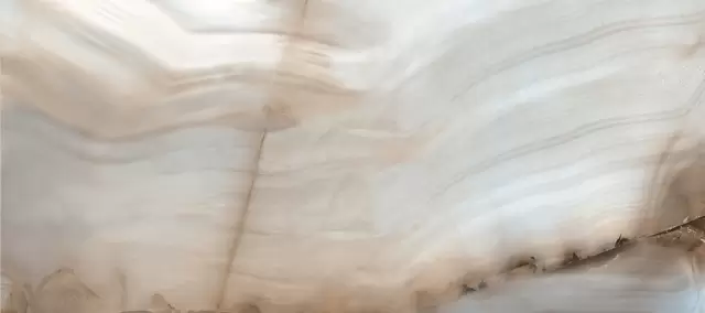 ALABASTRI REX BAMBOO LUC