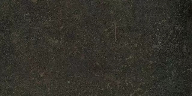 ESPRIT DE REX NEUTRAL BRUN