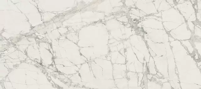 PREXIOUS MOUNTAIN TREASURE GLOSSY