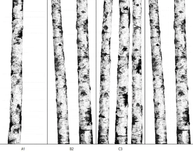 WANDERWALL RITMI A1,B2,C3
