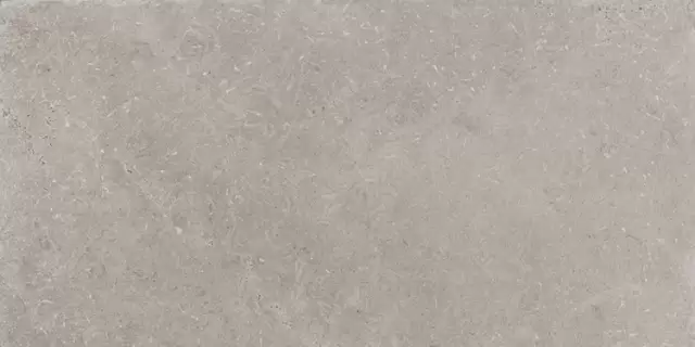 SILVER PRIME PLUS PZ7PM20