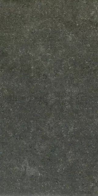 Аурис Блэк 30X60 Рет