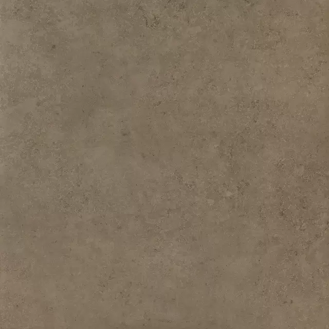 Нова Браун