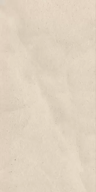 Эверстоун Мун 60X120 Рет