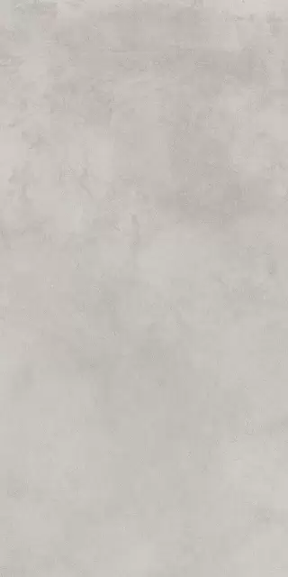 Миллениум Сильвер 60X120 Рет
