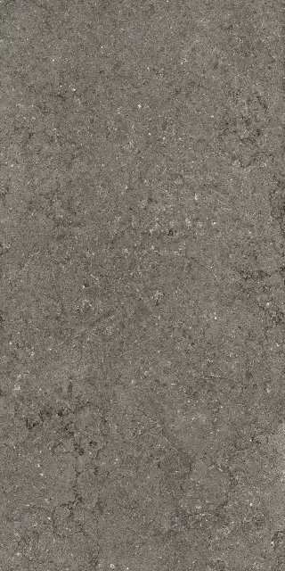 Дискавер Фумэ 60X120 Рет