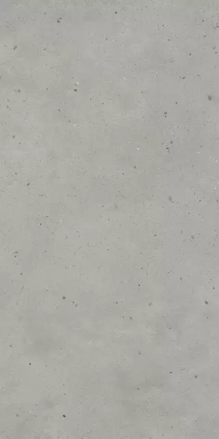 Авангард Сильвер 60X120 Рет