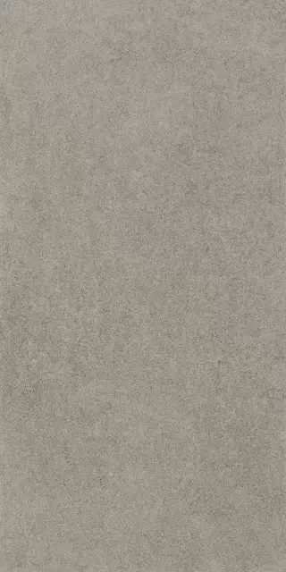 Космос Грэй 60X120 Рет